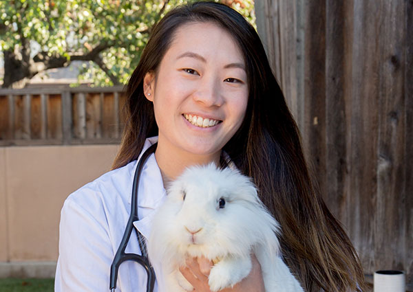 Carousel Slide 2: San Jose Small Animal Veterinarian