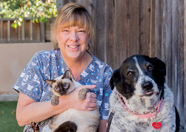 Carousel Slide 6: Camden Pet Hospital Cat and Dog Veterinarian