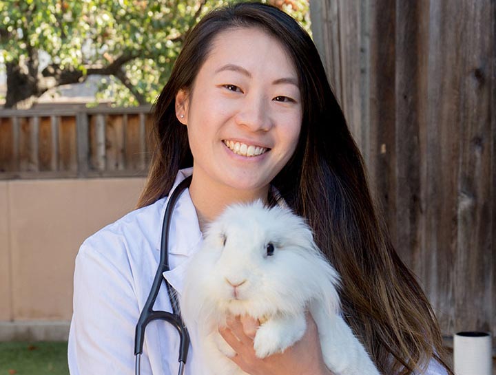 cat and rabbit care clinic